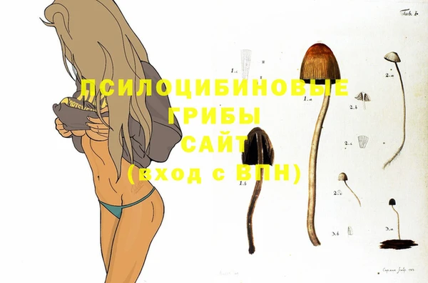 твердый Балабаново