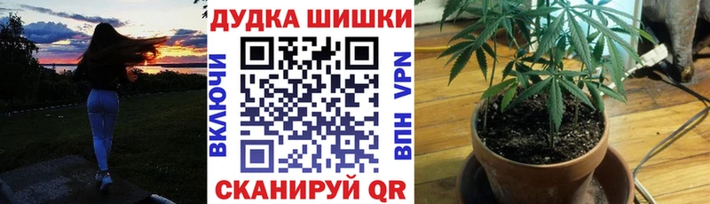 купить наркотик  Великие Луки  Марихуана сатива 